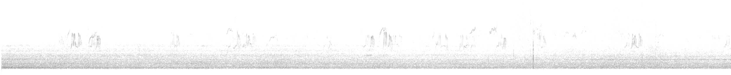 gulerle (cinereocapilla gr.) - ML42074921