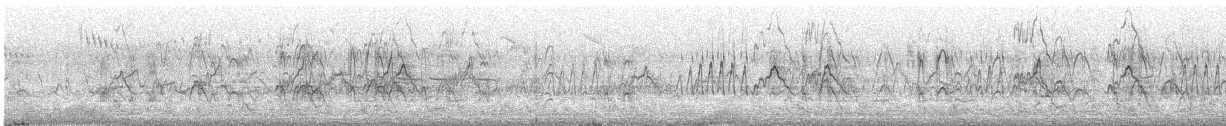 Plumed Whistling-Duck - ML420749251