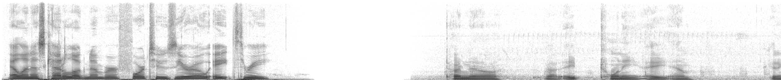 Song Sparrow - ML42083