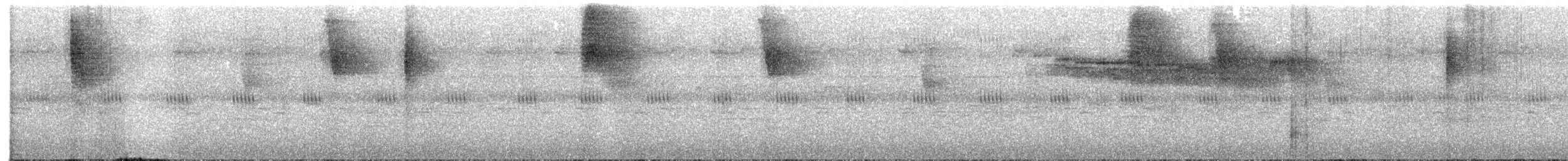 Band-tailed Barbthroat - ML420878891