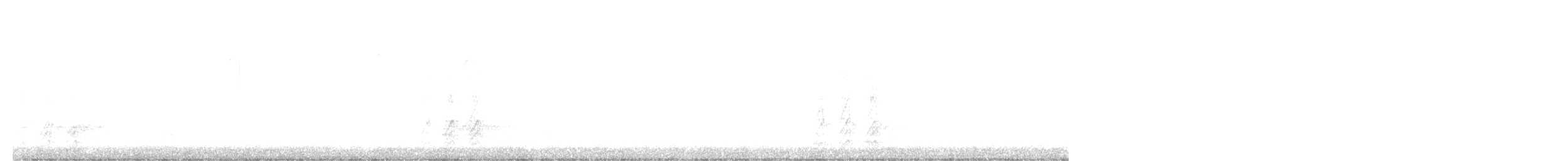 Kara Gagalı Saksağan - ML420881561