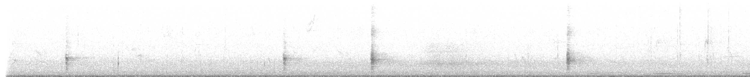 Purpurgrackel - ML420888711