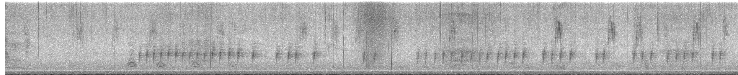 ミソサザイ科 - ML420917931