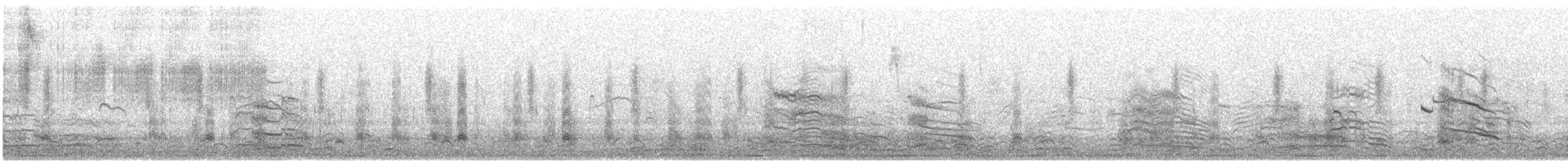 Short-billed Gull - ML420977911