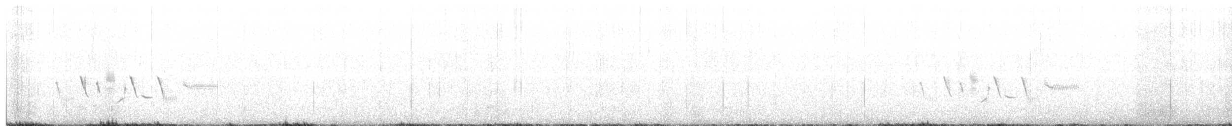 Шалфейная овсянка (canescens) - ML421135301