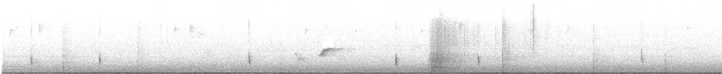 Hermit Thrush (faxoni/crymophilus) - ML421227331
