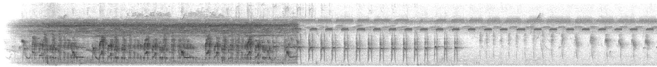 Nordstelzentyrann - ML421253721