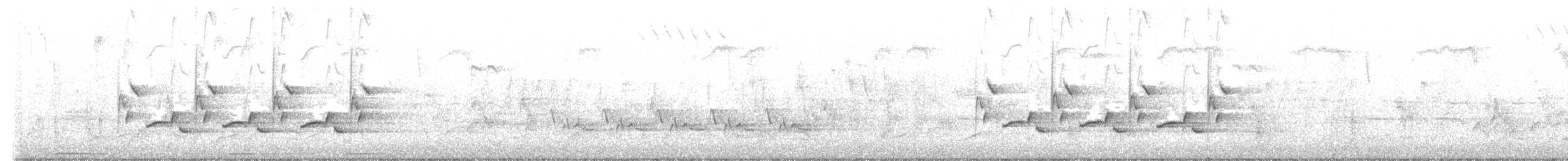 Carolina Wren - ML421295551