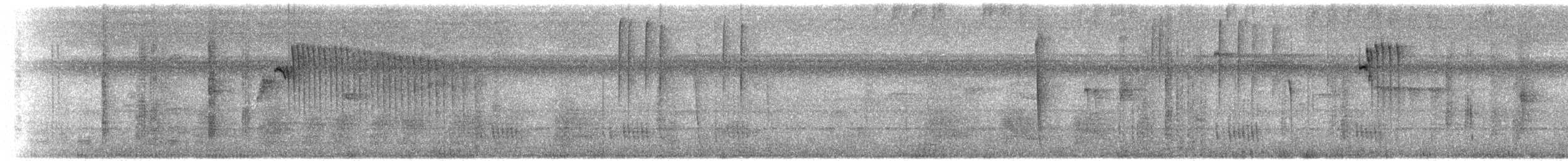 Серогрудый саблекрыл - ML421337781