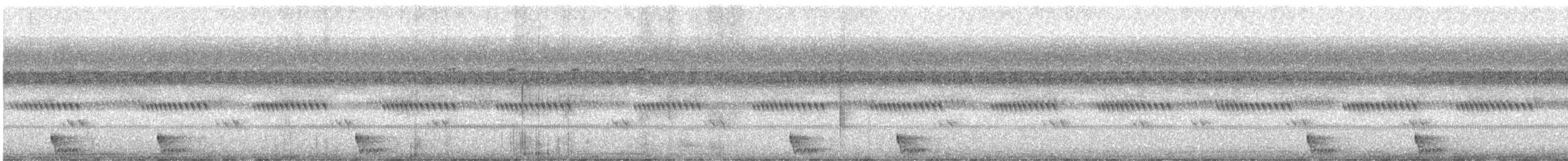 Large-tailed Nightjar - ML421351541