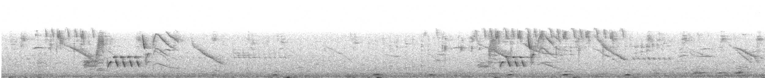 Troglodyte austral - ML421420441