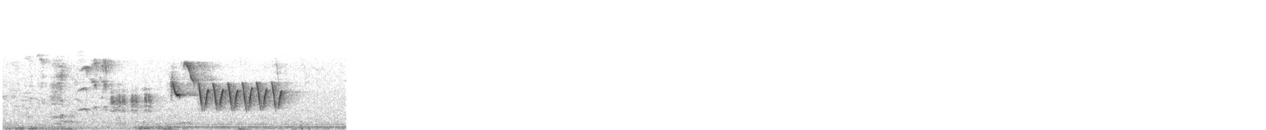 Troglodyte austral - ML421424881