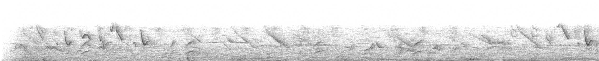 Tangara fourchu - ML421425571