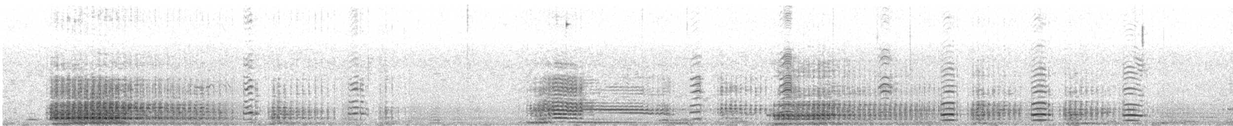 Eselspinguin - ML421514051