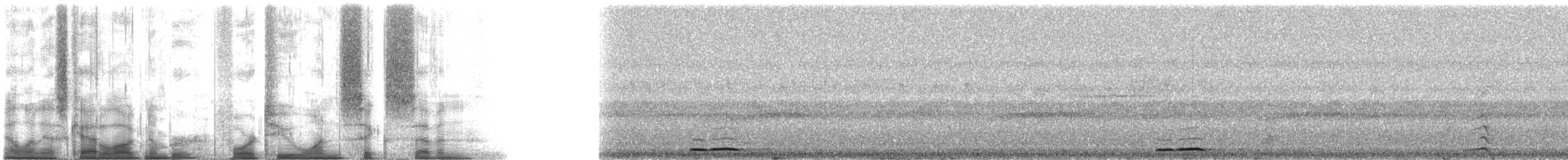 蘭嶼角鴞 - ML42167