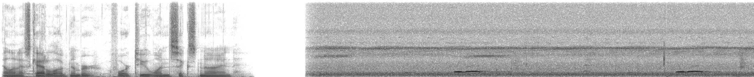 蘭嶼角鴞 - ML42169