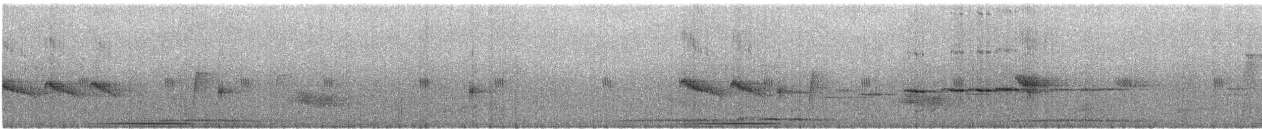 holub bledoprsý - ML421699531