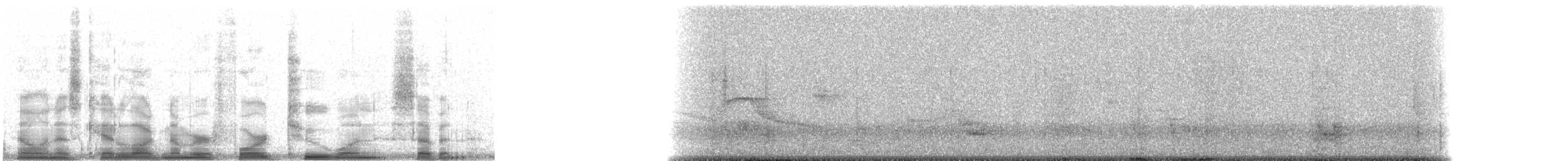 Swainson's Thrush - ML4217