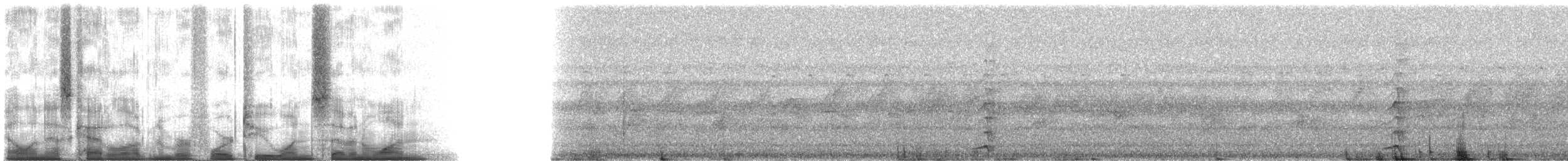 蘭嶼角鴞 - ML42171