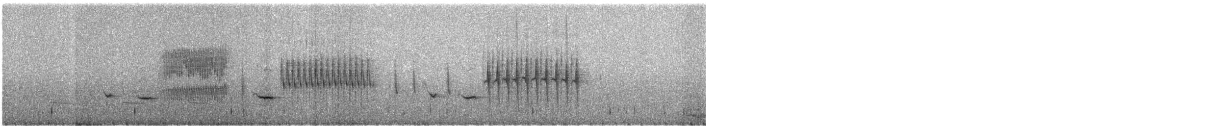 Troglodyte de Latham (aequatorialis) - ML421725751