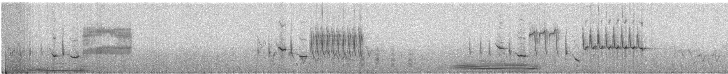 engsmett (aequatorialis) - ML421725781