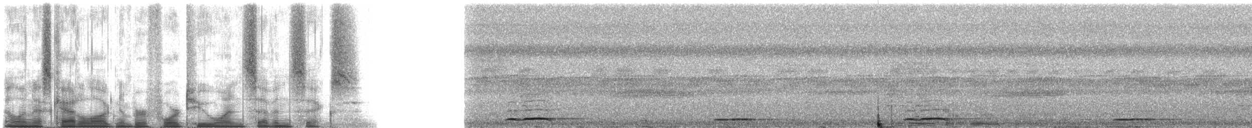 蘭嶼角鴞 - ML42176