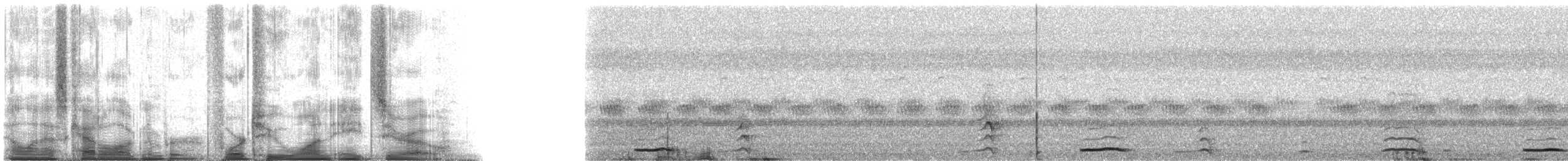 蘭嶼角鴞 - ML42180