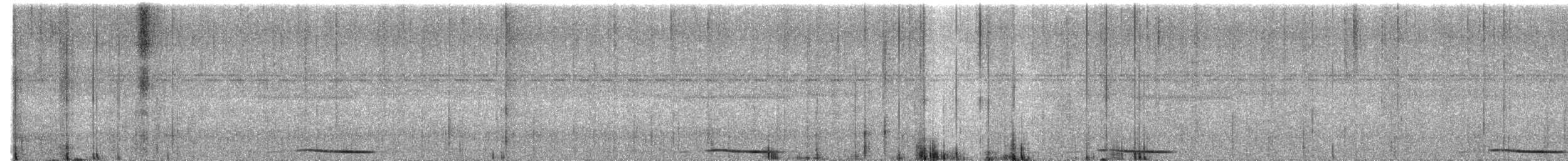 holub panamský - ML421832151