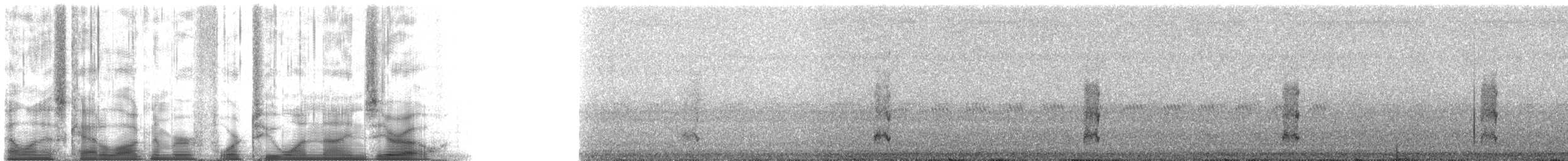 蘭嶼角鴞 - ML42190