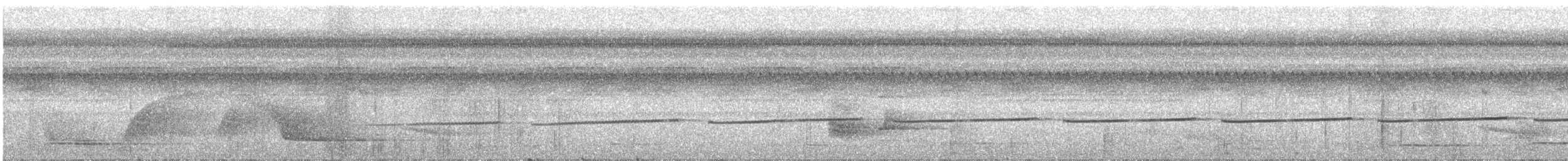 Bürzelbinden-Ameisenfänger - ML421905241