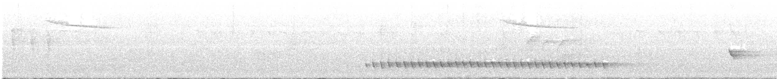 Russet-tailed Thrush - ML421917501