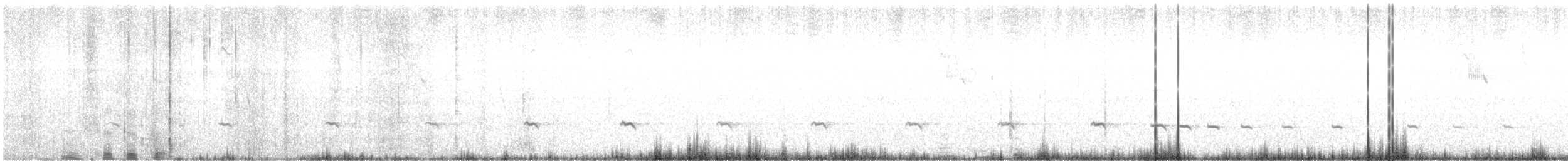 Benekli Notura Tinamusu - ML421999831
