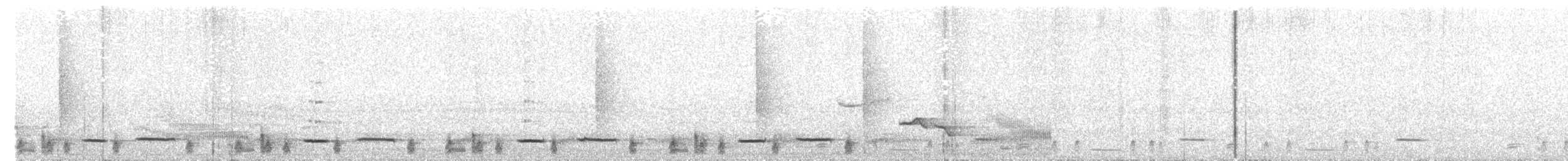 Troglodyte chanteur - ML42210561
