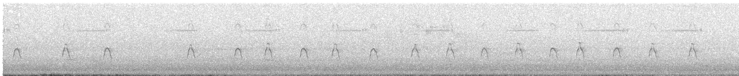 Zampullín Australiano - ML422157461