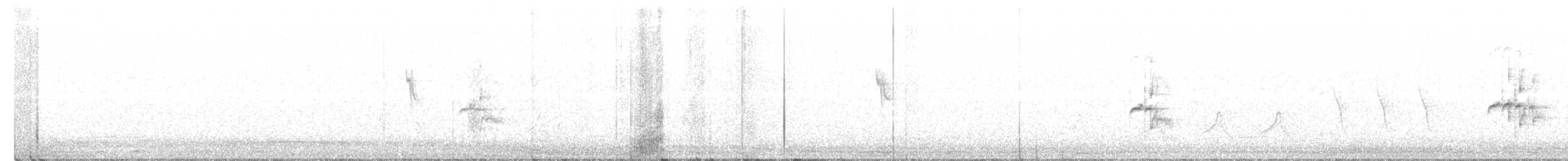 Tyranneau imberbe - ML422300501