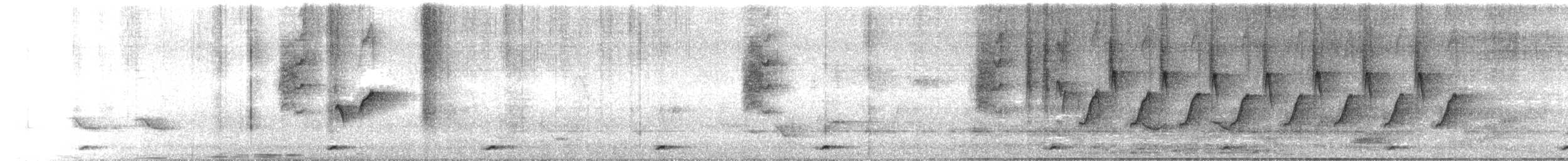 Lotennektarvogel - ML422420121