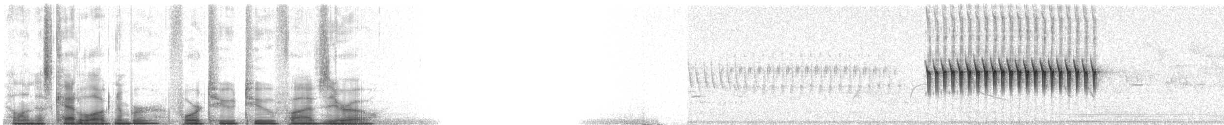 Юнко сірий [група oreganus] - ML42250
