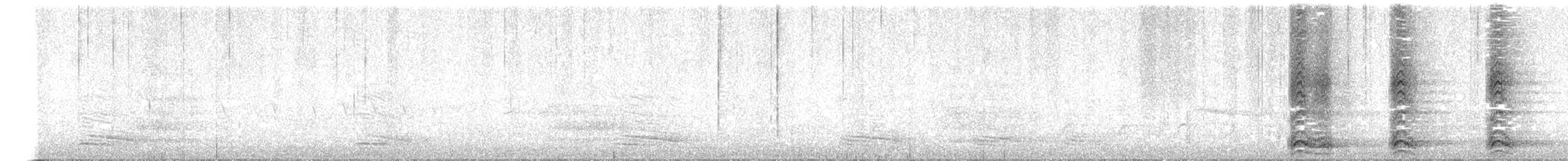 Corneille de rivage - ML422607231