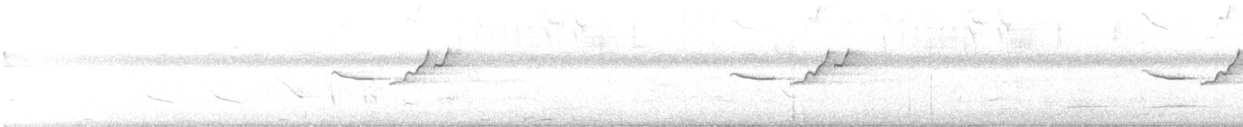 Troglodyte de Zeledon - ML422639161