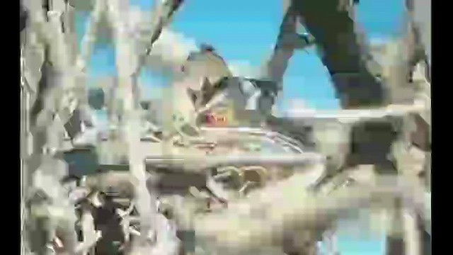 Hawaii-Amakihikleidervogel (virens) - ML422644311