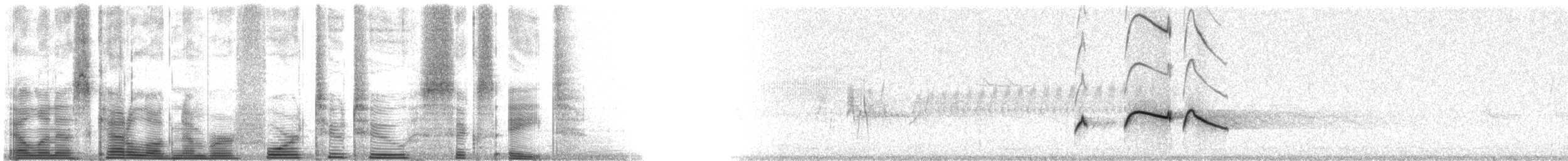 Boreal Sinekkapan - ML42268