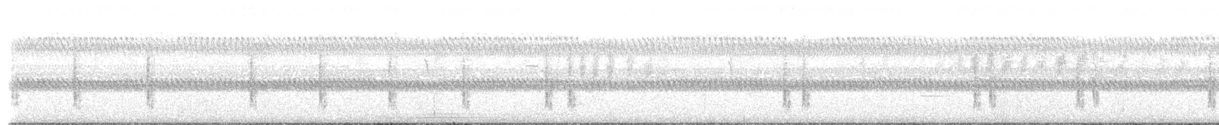Sedge Wren - ML422769421