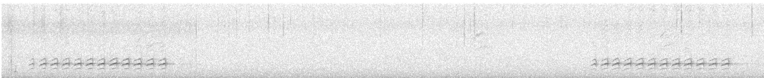 Weißbrustkleiber - ML422995201
