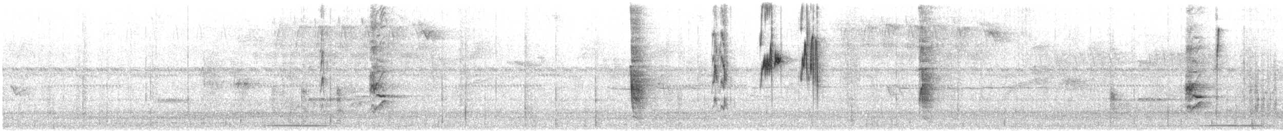 kolibřík skvrnitoprsý - ML423015781