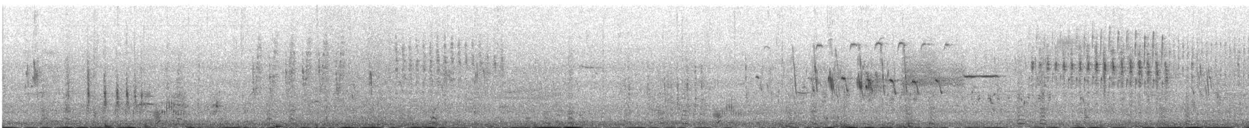 Érismature rousse - ML423054501