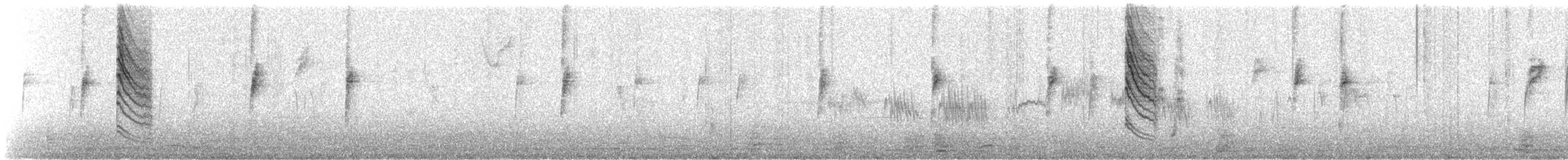 Blue-gray Gnatcatcher (Western) - ML423060571