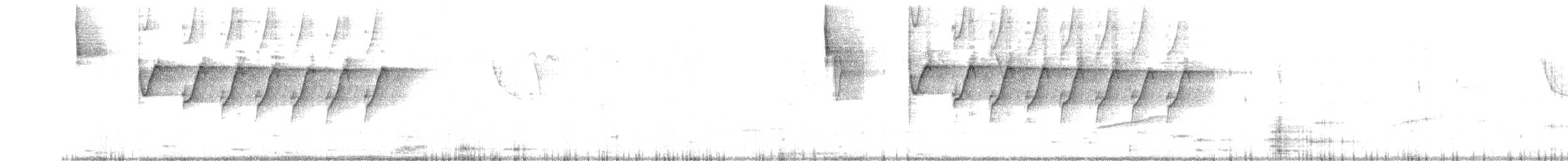 White-eared Ground-Sparrow - ML423082301