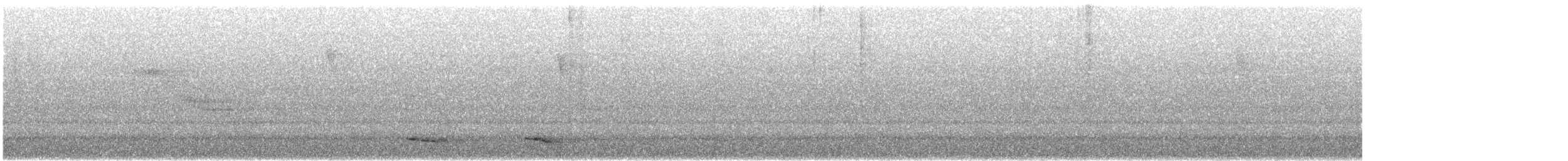 Halkalı Trogon (aurantiiventris/underwoodi) - ML423112771