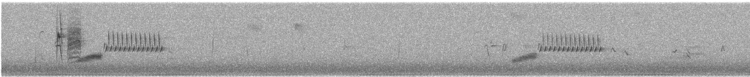 Bewick's Wren - ML423223171