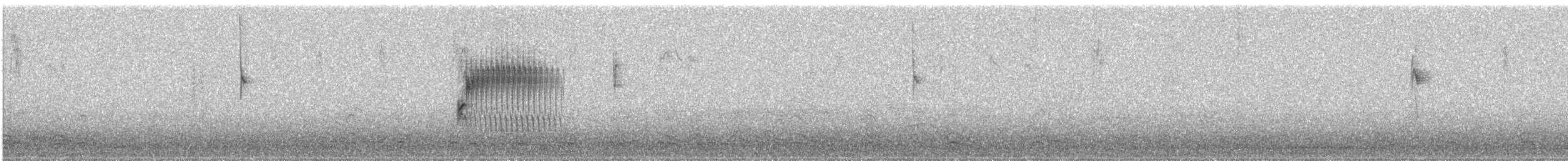 Spotted Towhee - ML423223211